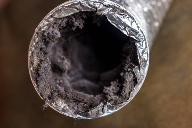 Best Ventilation Cleaning Services  in Emma, NC